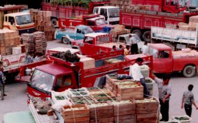 Alanya Komisyoncular Derneği